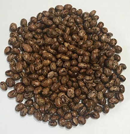 Yerli Ata Tohumu Sırık Uzun-Enli Erken Turşuluk Fasulye 25 Gr (Alacalı)