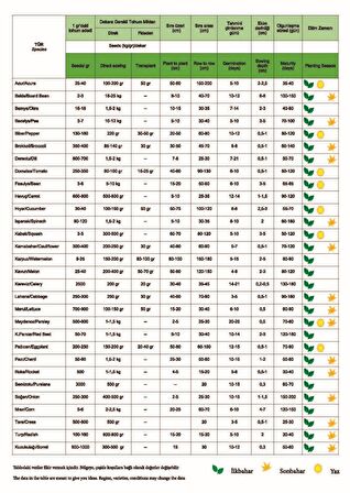 Yerli Ata Tohumu Sırık Uzun-Enli Turşuluk Fasulye 25 Gr (Boz)