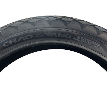 Chaoyang 20x4.00 3mm Zırhlı 1 İç+1 Dış Fat Bike Lastik Seti