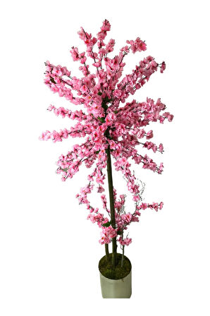 Atom Pembe Bahar Dalı 180 Cm 25x25 Metal Saksı