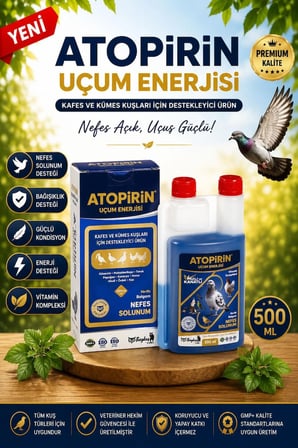 ATOPİRİN UÇUM ENERJİSİ 500 ML