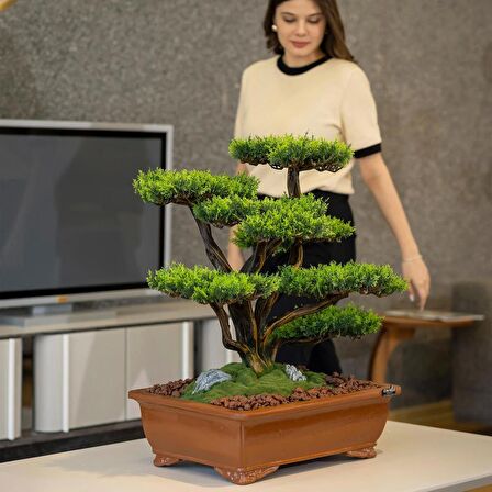 Atlas Bonsai-1 Masaüstü Kullanıma Uygun Doğal Ağaç Gövdeli Yapay Bonsai Ağacı - 50x60 Cm