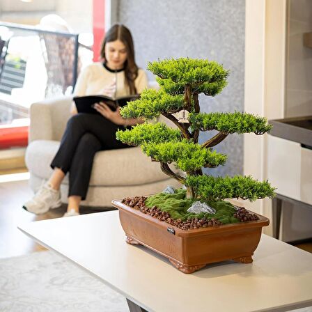 Atlas Bonsai-1 Masaüstü Kullanıma Uygun Doğal Ağaç Gövdeli Yapay Bonsai Ağacı - 50x60 Cm