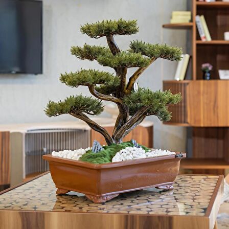 Atlas Bonsai-4 Masaüstü Kullanıma Uygun Doğal Ağaç Gövdeli Yapay Bonsai Ağacı - 50x60 Cm