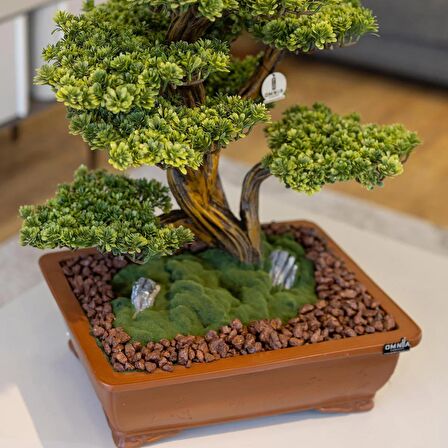 Atlas Bonsai-5 Masaüstü Kullanıma Uygun Doğal Ağaç Gövdeli Yapay Bonsai Ağacı - 50x60 Cm