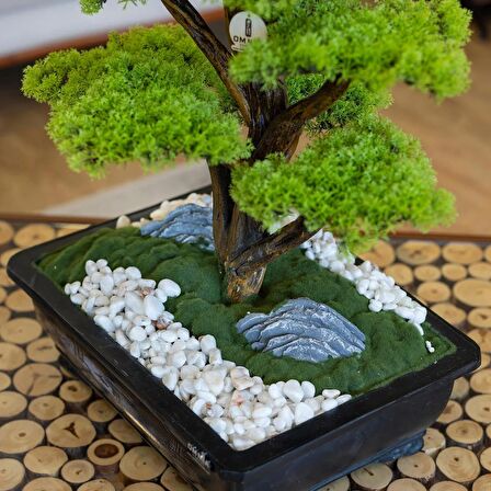 Atlas Bonsai-6 Masaüstü Kullanıma Uygun Doğal Ağaç Gövdeli Yapay Bonsai Ağacı - 50x60 Cm