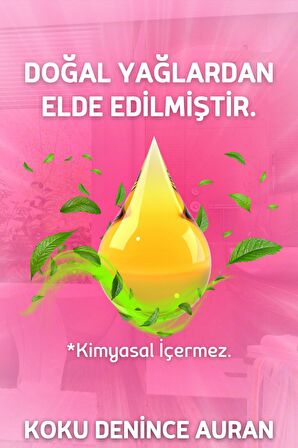 Mango Watermelon - Mango Karpuz Kare Bambu Çubuklu Oda Kokusu 100ml