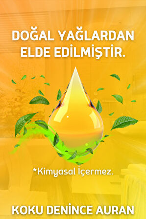 Capella Fresh Çubuklu Oda Kokusu Dekor 50ml