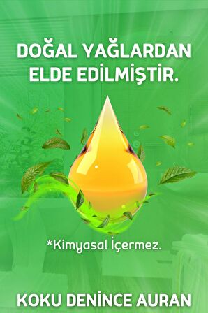 Bahar Esintisi Çubuklu Oda Kokusu Esansiyel Uçucu Yağ Spring Breeze 50ml