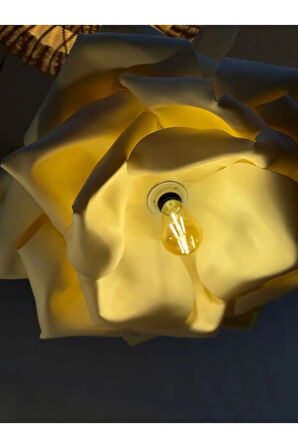 Krem Vehha Tasarım Eva Modern Sarkıt Avize