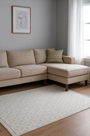 Geometrik Oyma Kabartma Desenli Pamuk Dokuma Tabanlı Lüks Makina Halısı