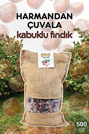 Activella Kakaolu Fındık Ezmesi 330gr %35 Fındıklı + Kabuklu Fındık 500gr
