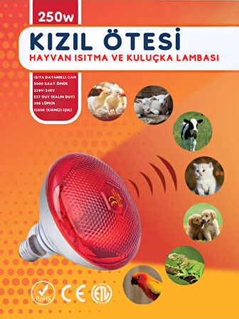 Avarson (5 Adet) 250W Kızılötesi (infrared) Isıtıcılı Hayvan Isıtma ve Kuluçka Lambası (Kırmızı Işık) E27 (Kalın Duy)