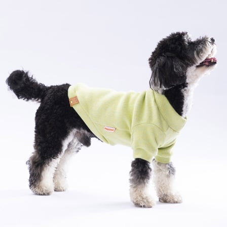 Pawstar Yellow Merino Sweat XXarge 38X43X58 cm