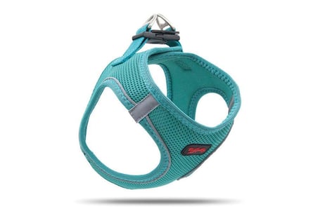 Tailpetz Air Mesh Köpek Göğüs Tasması XSmall 32x36 cm Emerald