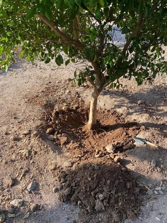 İsonem Soil Water Trap Toprak Altı Su Tutucu 5 Kg