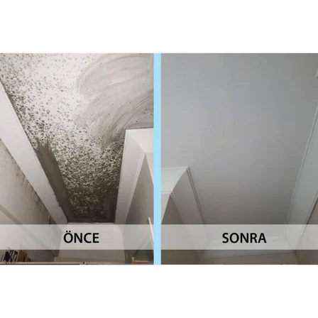İsonem Ms 82 Rutubet Nem Küf Boyası 1 Kg Beyaz