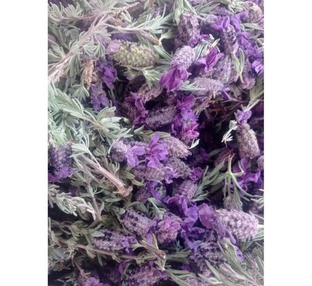 KARABAŞ OTU ÇAYI (Kurutulmuş/yeni mahsül) 50 GR