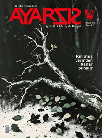 Ayarsız Dergi 112.Sayı Haziran 2025