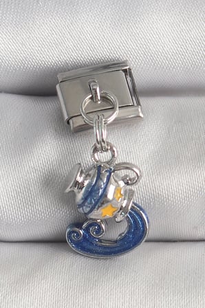 316L Çelik Gümüş Renk Sallantı Kova Burç Model Nomination Charm