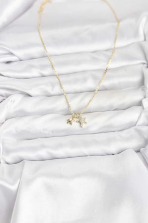 Pirinç Gold Renk Yıldız Minimal Kadın Kolye