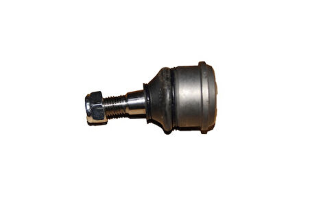 AYD 03354 Rotil Ford Mustang 96-02 YR3Z3079B-P2