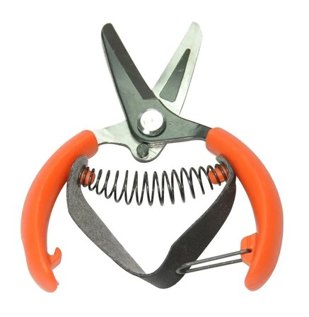 Hediye 42816s9c - Plastik Saplı Narenciye Makası 153 Mm