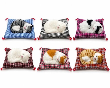 Hediye Yastıkta Uyuyan Kedi Sesli Alk24