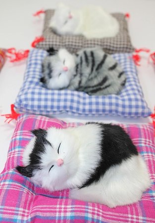 Hediye Yastıkta Uyuyan Kedi Sesli Alk24