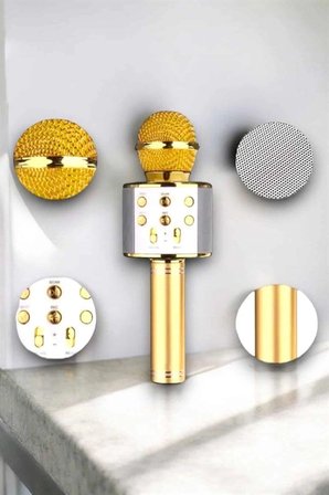 Hediye Taşınabilir Bluetooth Karaoke Mikrofon: Hafıza Kart Girişli, Etkileyici Performans