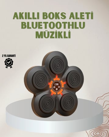 Hediye Bluetoothlu Akıllı Boks Antrenman Cihazı Işıklı Hedefli Kardiyo Ve Fitness Aleti