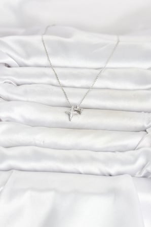 Pirinç Gümüş Renk Minimal Kutup Yıldızı Model Kadın Kolye
