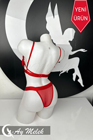 Kadın Giyim Tül Desenli Balenli Sütyen Külot İç Giyim Takımı