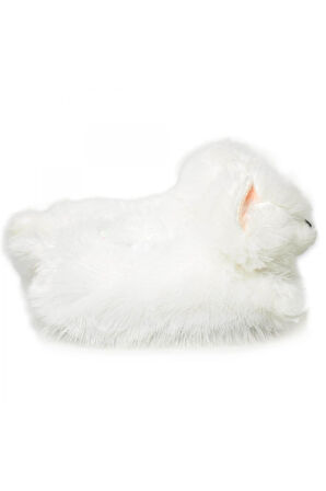 Twigy Yy0308 Z Tw Kedi-3 Beyaz Kadın Panduf
