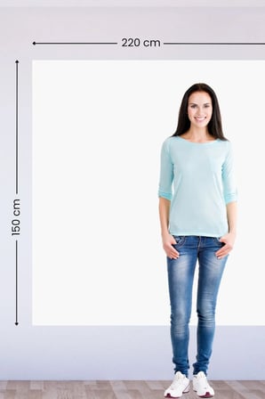 150x220 cm Yapışkansız Çivisiz Ev Sineması Projeksiyon Perdesi