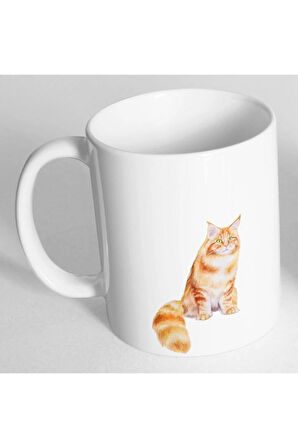 Şaşkın Kedi Resim Baskılı Kupa Bardak