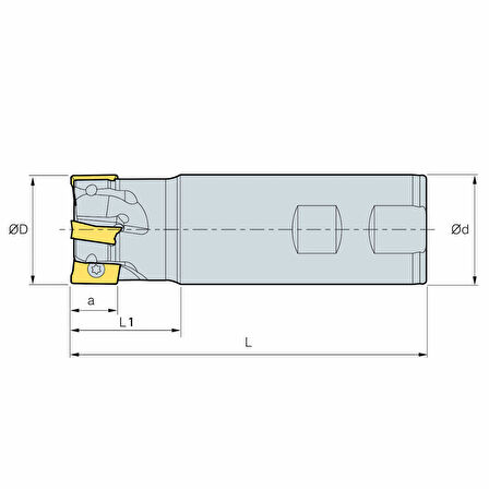 Mertsan Standart Saplı Tarama Freze Kafası D022-2, 22X110 mm Takım Ölçüsü, (2 Adet APKT 1003 Kesici Uç kullanır) - 1 Adet