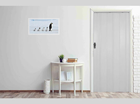 Akordiyon katlanır Kapı 12 mm, Beyaz, Camsız En 102 cm x Boy 199 cm 