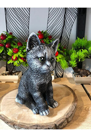 Polyester Kedi Biblo