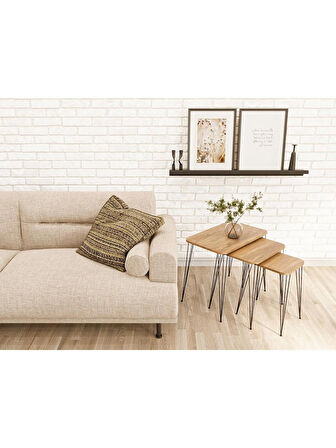 Alpa Ev Mobilya Dikdörtgen 3’lü Zigon Sehpa Seti Siyah Metal Tel Ayaklı, Modern Yan Sehpa Takımı