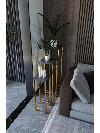 Alpa Ev Mobilya Gold Ayaklı 3’lü Saksı Standı, Metal Profil Ayaklı Çok Amaçlı Dekoratif Saksılık & Yan Sehpa
