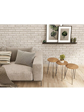 Alpa Ev Mobilya Yuvarlak 3’lü Zigon Sehpa Seti ,Yuvarlak Suntalam Üst – Siyah Metal Tel Ayaklı Modern Yan Sehpa