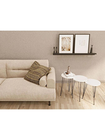 Alpa Ev Mobilya Yuvarlak 3’lü Zigon Sehpa Seti ,Yuvarlak Suntalam Üst – Siyah Metal Tel Ayaklı Modern Yan Sehpa