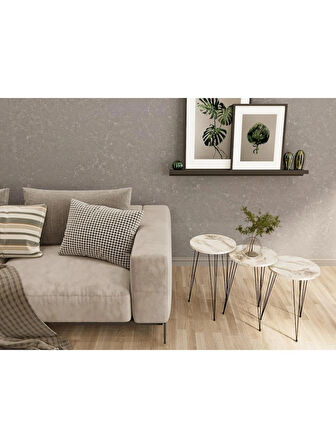 Alpa Ev Mobilya Yuvarlak 3’lü Zigon Sehpa Seti ,Yuvarlak Suntalam Üst – Siyah Metal Tel Ayaklı Modern Yan Sehpa