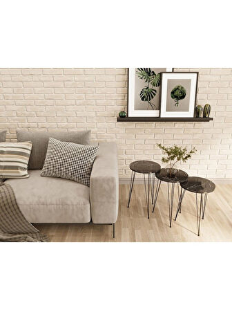 Alpa Ev Mobilya Yuvarlak 3’lü Zigon Sehpa Seti ,Yuvarlak Suntalam Üst – Siyah Metal Tel Ayaklı Modern Yan Sehpa