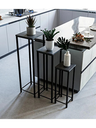 Alpa Ev Mobilya Dekoratif 3’lü Siyah Metal Ayaklı Saksı Standı ve Yan Sehpa Seti,Modern Çiçeklik Takımı, Salon & Balkon Bitki Sehpası