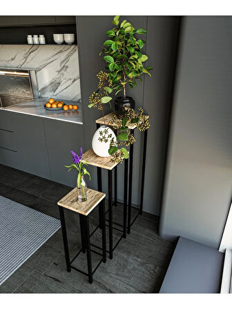 Alpa Ev Mobilya Dekoratif 3’lü Siyah Metal Ayaklı Saksı Standı ve Yan Sehpa Seti,Modern Çiçeklik Takımı, Salon & Balkon Bitki Sehpası