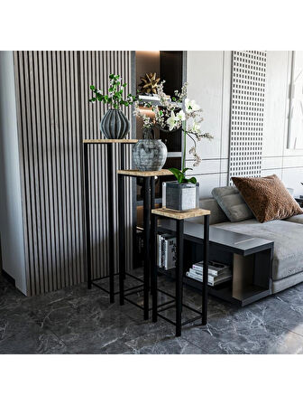 Alpa Ev Mobilya Dekoratif 3’lü Siyah Metal Ayaklı Saksı Standı ve Yan Sehpa Seti,Modern Çiçeklik Takımı, Salon & Balkon Bitki Sehpası