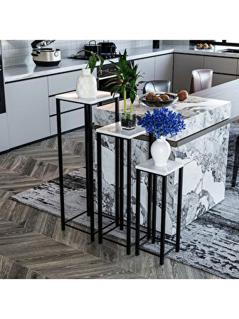 Alpa Ev Mobilya Dekoratif 3’lü Siyah Metal Ayaklı Saksı Standı ve Yan Sehpa Seti,Modern Çiçeklik Takımı, Salon & Balkon Bitki Sehpası