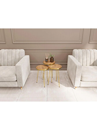 Alpa Ev Mobilya Gold Metal Ayaklı 3’lü Zigon Sehpa Seti Modern Yuvarlak Sehpa Takımı